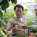 장흥골프랜드 이미지