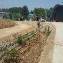 개미정비 이미지