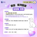 정 메디컬 동물병원 이미지