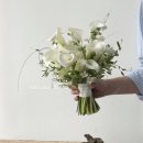 29170-5-B-01 | 웨딩촬영 #5. ONA 스튜디오 사전 미팅 후기 (B타입 건호작가님) 촬영 전 준비물, 안내사항