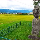 서천리 당산 이미지