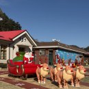 분천산타마을 자전거셰어링 | [경북 봉화] 아이와 겨울 기차여행 동해산타열차 분천역 산타마을 크리스마스 축제 맛집 추천