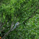 의령 탐진안씨 종택 이미지