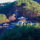 침산정 | 침산정 방문 후기 전문가의 권장!