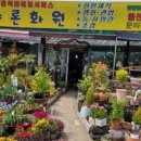 샤론화원 이미지