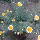 송선로-4 이미지