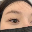코코아이래쉬 | 야탑 속눈썹 전문 샵 코코 아이래쉬 연장 후기