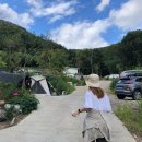 알프스농원 캠핑장 이미지