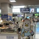 스타벅스 부산송도해수욕장점 | (부산) 페어필드 바이 메리어트 부산 송도비치 - 메리어트 플래티넘 혜택