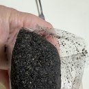 성백영 민속떡 이미지