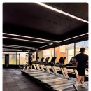 운동해야GYM 네이버블로그
