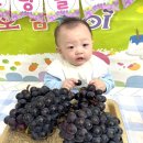 참뜰어린이집 | 신곡동어린이집 자연 속에서 아이들이 웃음 짓는 신곡도담어린이집 후기