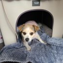 한솔상사 이미지