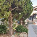 장미장목욕탕 이미지