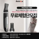 우리댕 네이버블로그