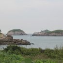 피등목장 이미지