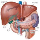 읽으면 유익한글 이미지