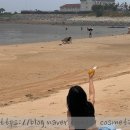 썬자연주의 | 여름 바다에서 직접 써본 [구루버 썬스프레이] 사용 후기