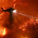 CW-1947-01 이미지