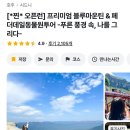 블루마운틴 | 호주 시드니 페더데일 동물원 오픈런 블루마운틴 방문 후기