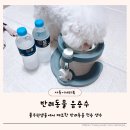 여름철 강아지 음수량 관리 풀무원샘물 반려동물음용수 후기