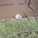 지피테크 | [앱테크] 걸으면 돈을 주는 어플 비트버니