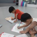 플라잉타이거태권도 이미지