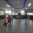 화창태권도장 이미지