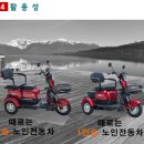 베가모터스 이미지