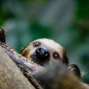 운동습관 이미지