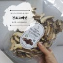 숨그루