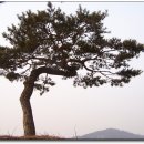 여기산공원 이미지