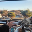 펫블리강아지&미라클고양이 | [경기 연천] 연천 가볼만한 펜션 글램핑장 연천미라클타운 도봉자연힐링가족캠핑장 '벙커하우스 K7...