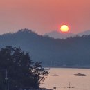 진도 한우 참치회 전문점 이미지