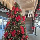 272-0558 | 창원 가볼만한곳 대형카페 272 주남저수지 크리스마스트리