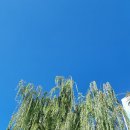 오류역광장 - 2300 | 오류역광장
