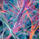 등마루신경외과의원 이미지