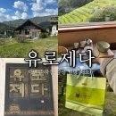 (주)다원아이디 | 하동 숙소 추천 | 유로제다 2층 :: 녹차밭 뷰 다도체험까지 2번째 방문 🍵