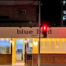 블루버드 이미지