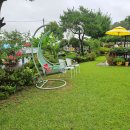 자연속힐링펜션 이미지