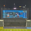 중앙알칸(주) | [두산베어스] 230504 / 230608 잠실야구장 중앙 네이비석 317블럭 한화전 직관 후기