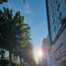 바른길정형외과의원 이미지