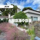파인민박 | 제주 표선 숙소, 스테이제주이음 Ι 머무는 순간이 선물 같던 공간