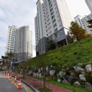 동화새터길 이미지