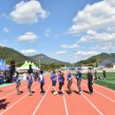 청송군민운동장 이미지