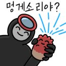 태릉촌닭한마리