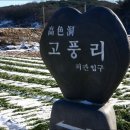 국보팬션 Daum카페