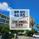 옐로우서브마린온수수영장펜션커피숍 | 제주 동쪽 성산 숙소 추천 '더포그레이스리조트'