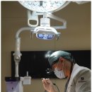 건강한치아건치과의원 이미지