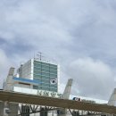 무창포카라반파크 | [충남 보령 여행] 무창포카라반파크 무창포해수욕장 리트리버 강아지 가을이가 상주하는 예쁜 카라반...